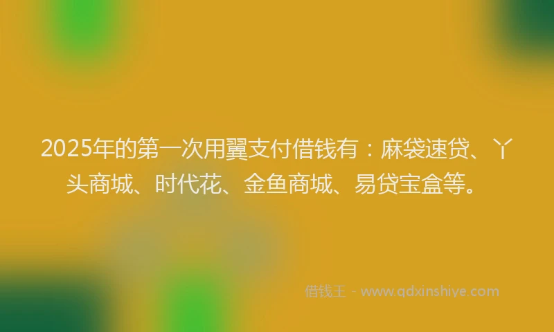 2025年的第一次用翼支付借钱有：麻袋速贷、丫头商城、时代花、金鱼商城、易贷宝盒等。