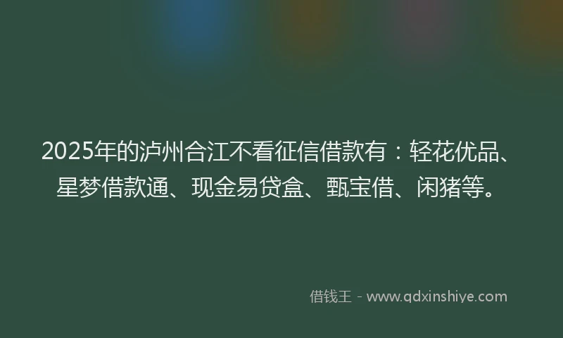 2025年的泸州合江不看征信借款有：轻花优品、星梦借款通、现金易贷盒、甄宝借、闲猪等。