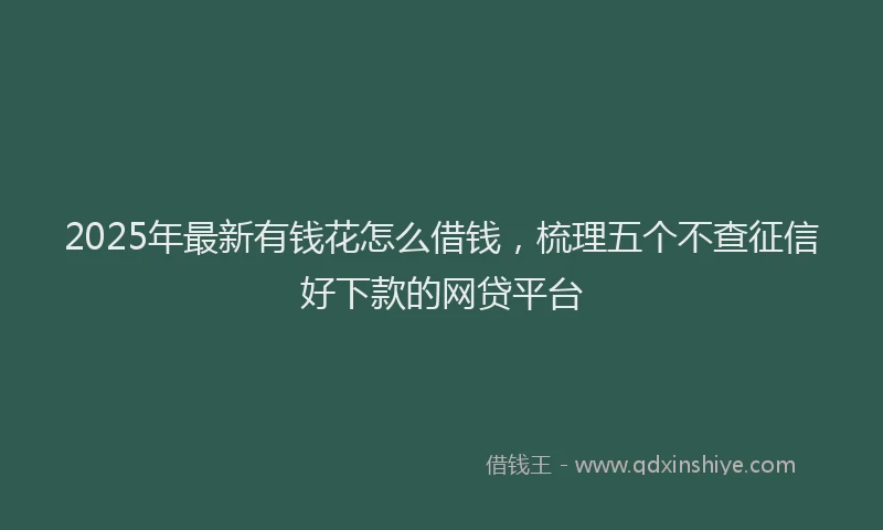 2025年最新有钱花怎么借钱，梳理五个不查征信好下款的网贷平台