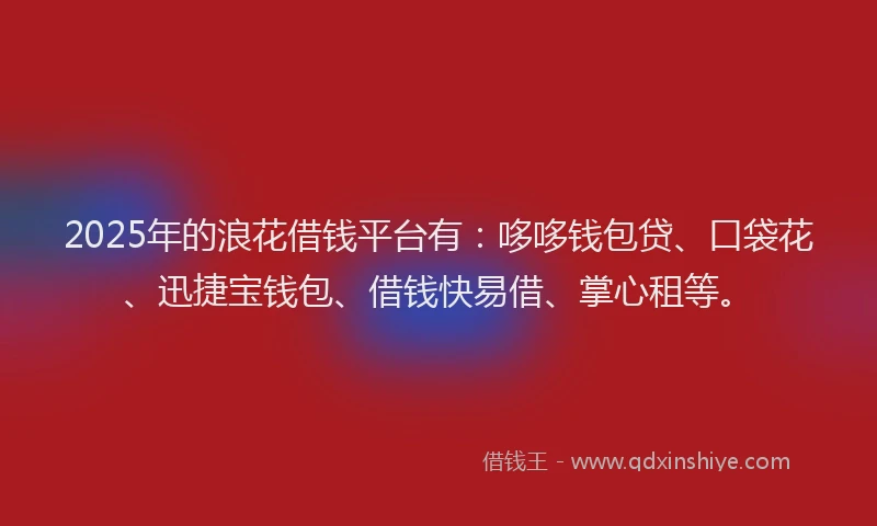 2025年的浪花借钱平台有:哆哆钱包贷、口袋花、迅捷宝钱包、借钱快易借、掌心租等。