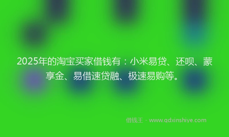 2025年的淘宝买家借钱有：小米易贷、还呗、蒙享金、易借速贷融、极速易购等。