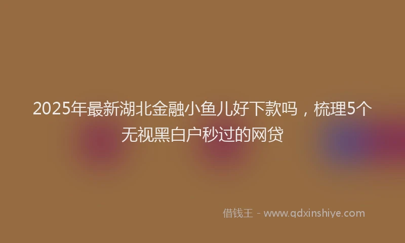 2025年最新湖北金融小鱼儿好下款吗，梳理5个无视黑白户秒过的网贷