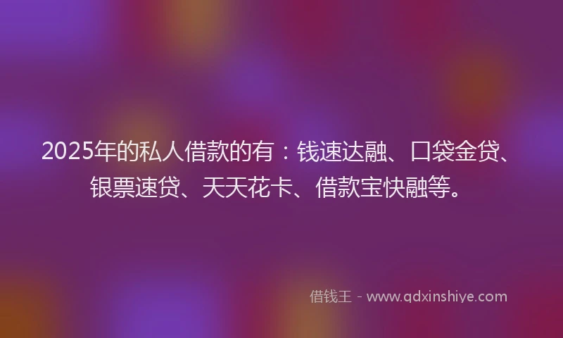 2025年的私人借款的有：钱速达融、口袋金贷、银票速贷、天天花卡、借款宝快融等。