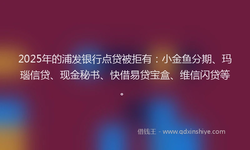 2025年的浦发银行点贷被拒有：小金鱼分期、玛瑙信贷、现金秘书、快借易贷宝盒、维信闪贷等。