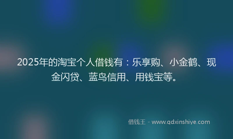 2025年的淘宝个人借钱有：乐享购、小金鹤、现金闪贷、蓝鸟信用、用钱宝等。