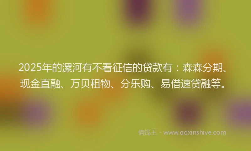 2025年的漯河有不看征信的贷款有：森森分期、现金直融、万贝租物、分乐购、易借速贷融等。