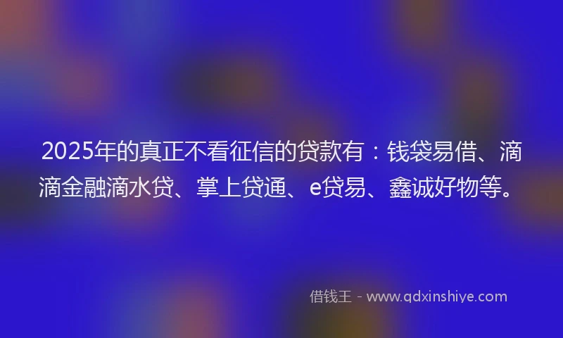 2025年的真正不看征信的贷款有：钱袋易借、滴滴金融滴水贷、掌上贷通、e贷易、鑫诚好物等。