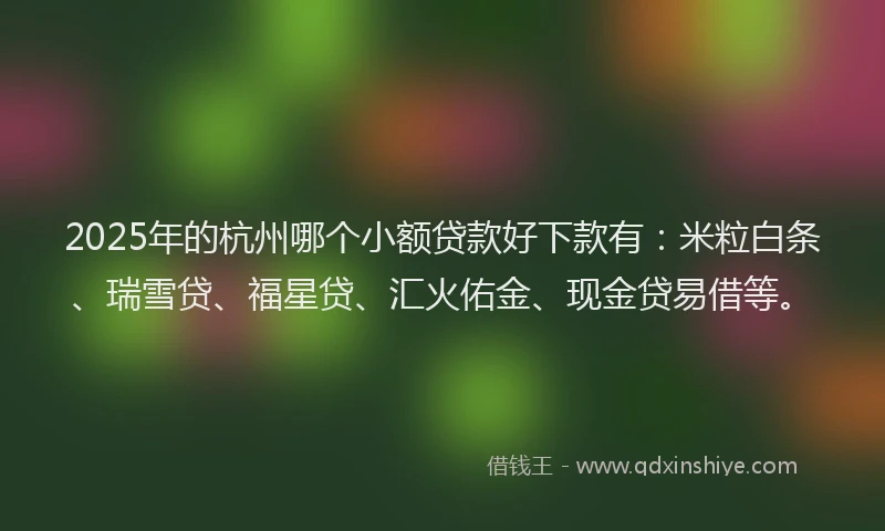 2025年的杭州哪个小额贷款好下款有：米粒白条、瑞雪贷、福星贷、汇火佑金、现金贷易借等。