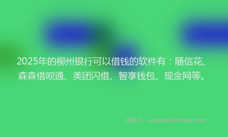 2025年的柳州银行可以借钱的软件有：随信花、森森借呗通、美团闪借、智享钱包、现金网等。