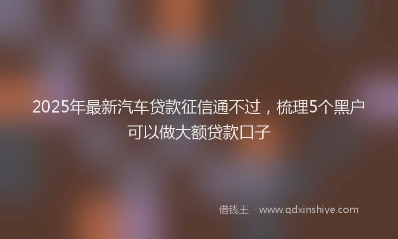 2025年最新汽车贷款征信通不过，梳理5个黑户可以做大额贷款口子