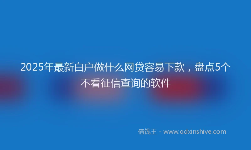 2025年最新白户做什么网贷容易下款，盘点5个不看征信查询的软件