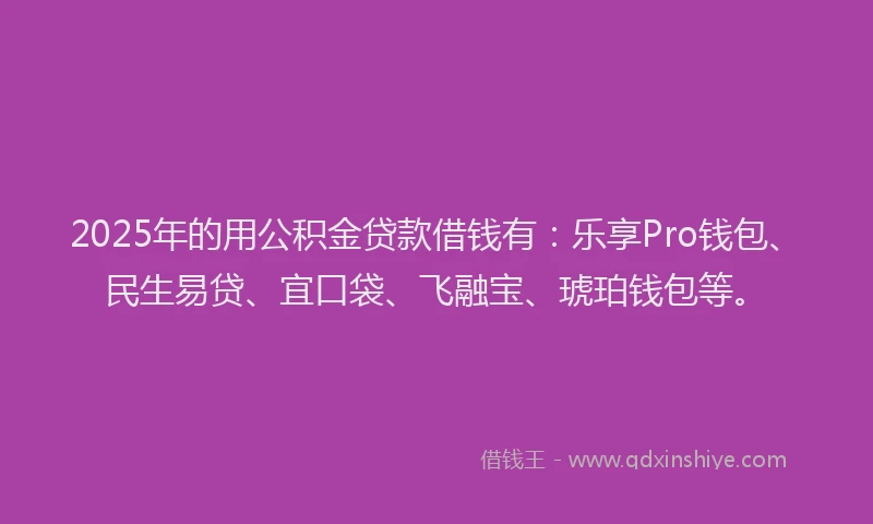 2025年的用公积金贷款借钱有：乐享Pro钱包、民生易贷、宜口袋、飞融宝、琥珀钱包等。