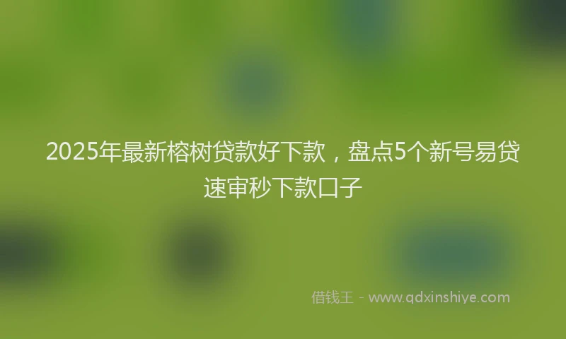 2025年最新榕树贷款好下款，盘点5个新号易贷速审秒下款口子
