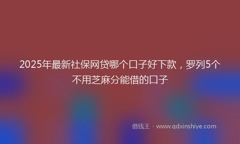 2025年最新社保网贷哪个口子好下款，罗列5个不用芝麻分能借的口子