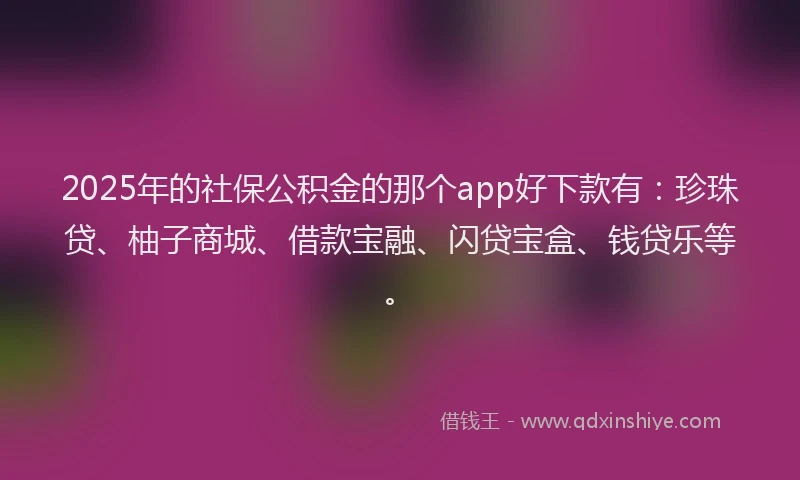 2025年的社保公积金的那个app好下款有：珍珠贷、柚子商城、借款宝融、闪贷宝盒、钱贷乐等。