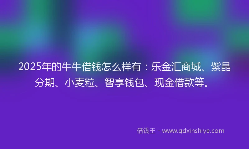 2025年的牛牛借钱怎么样有：乐金汇商城、紫晶分期、小麦粒、智享钱包、现金借款等。