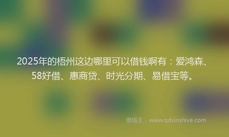 2025年的梧州这边哪里可以借钱啊有：爱鸿森、58好借、惠商贷、时光分期、易借宝等。