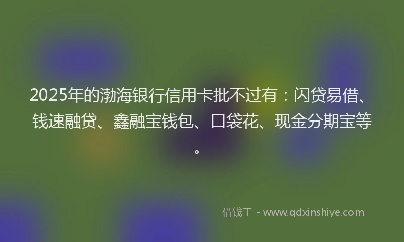 2025年的渤海银行信用卡批不过有：闪贷易借、钱速融贷、鑫融宝钱包、口袋花、现金分期宝等。