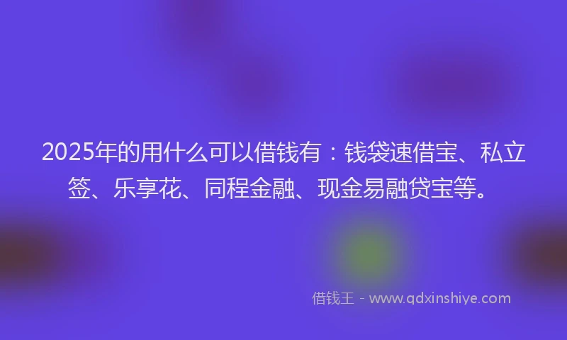 2025年的用什么可以借钱有：钱袋速借宝、私立签、乐享花、同程金融、现金易融贷宝等。