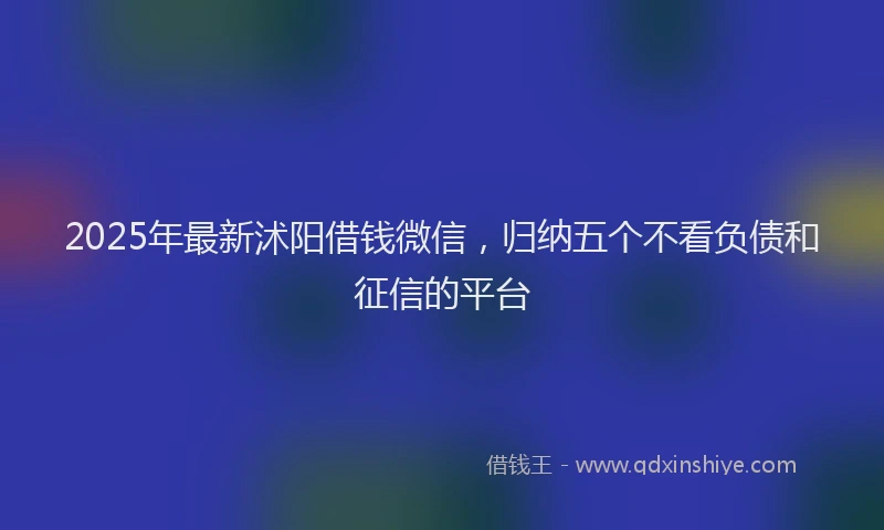 2025年最新沭阳借钱微信，归纳五个不看负债和征信的平台