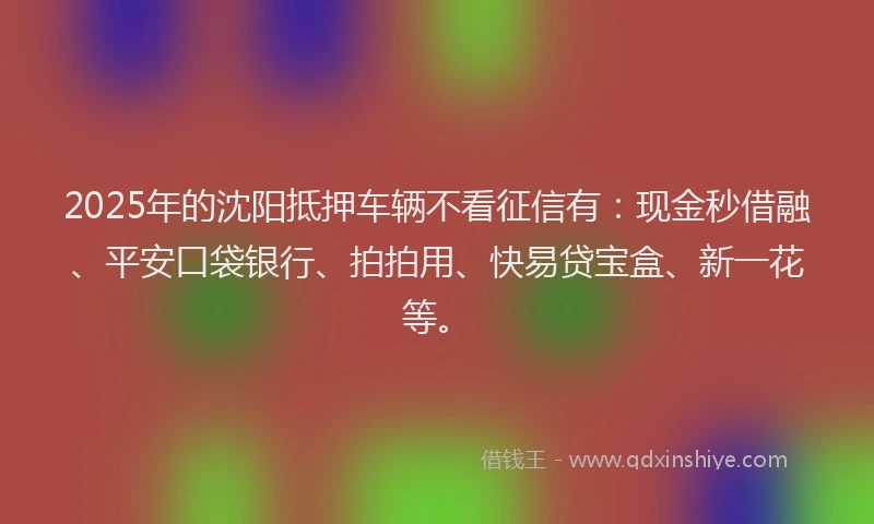 2025年的沈阳抵押车辆不看征信有：现金秒借融、平安口袋银行、拍拍用、快易贷宝盒、新一花等。