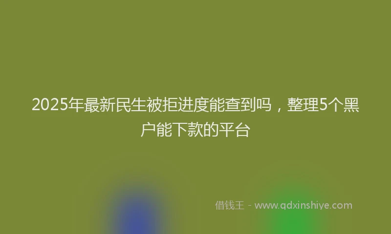 2025年最新民生被拒进度能查到吗，整理5个黑户能下款的平台