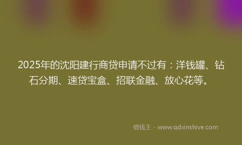 2025年的沈阳建行商贷申请不过有：洋钱罐、钻石分期、速贷宝盒、招联金融、放心花等。