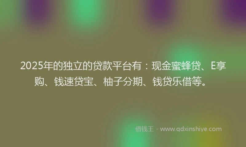 2025年的独立的贷款平台有：现金蜜蜂贷、E享购、钱速贷宝、柚子分期、钱贷乐借等。