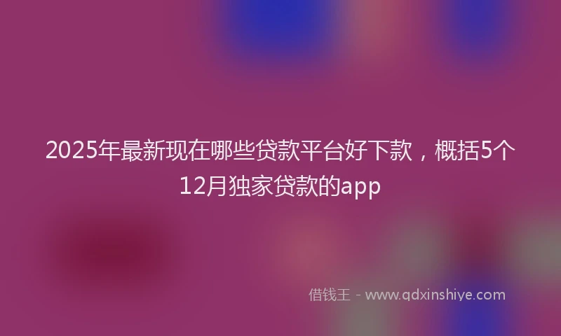2025年最新现在哪些贷款平台好下款,概括5个12月独家贷款的app