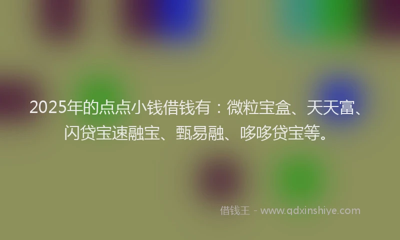2025年的点点小钱借钱有：微粒宝盒、天天富、闪贷宝速融宝、甄易融、哆哆贷宝等。