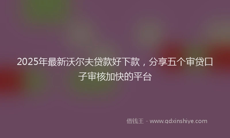 2025年最新沃尔夫贷款好下款，分享五个审贷口子审核加快的平台