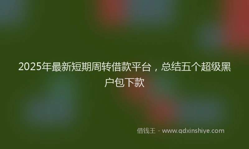 2025年最新短期周转借款平台，总结五个超级黑户包下款