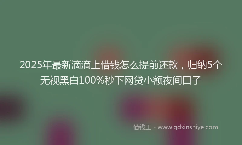 2025年最新滴滴上借钱怎么提前还款，归纳5个无视黑白100%秒下网贷小额夜间口子