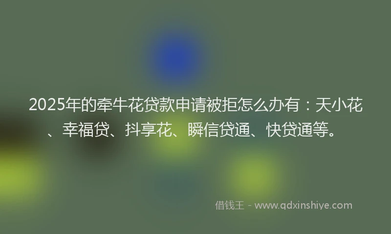 2025年的牵牛花贷款申请被拒怎么办有：天小花、幸福贷、抖享花、瞬信贷通、快贷通等。