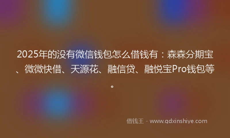 2025年的没有微信钱包怎么借钱有：森森分期宝、微微快借、天源花、融信贷、融悦宝Pro钱包等。