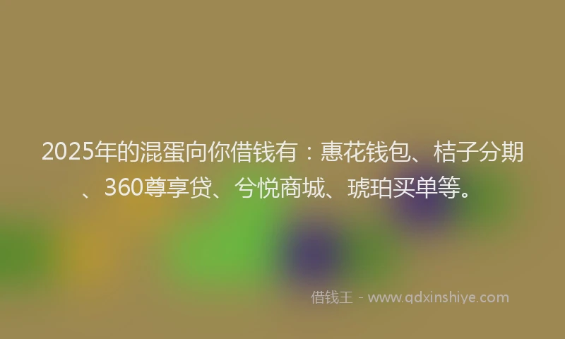 2025年的混蛋向你借钱有：惠花钱包、桔子分期、360尊享贷、兮悦商城、琥珀买单等。
