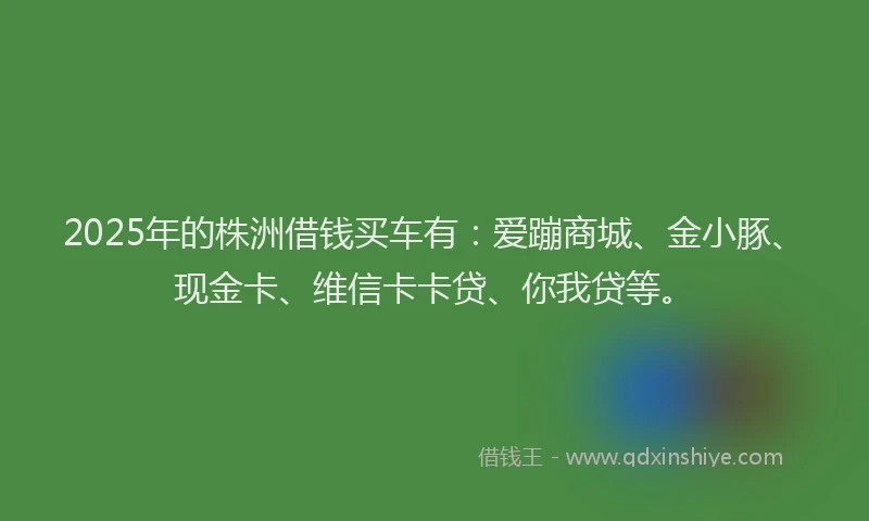 2025年的株洲借钱买车有：爱蹦商城、金小豚、现金卡、维信卡卡贷、你我贷等。