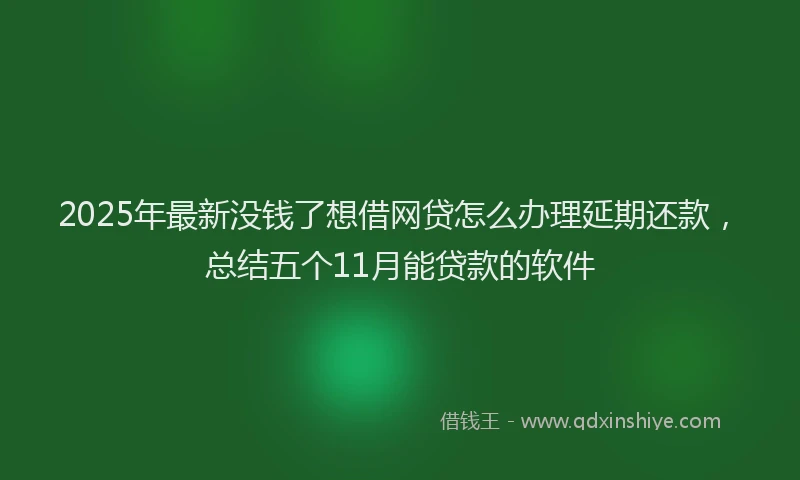 2025年最新没钱了想借网贷怎么办理延期还款，总结五个11月能贷款的软件