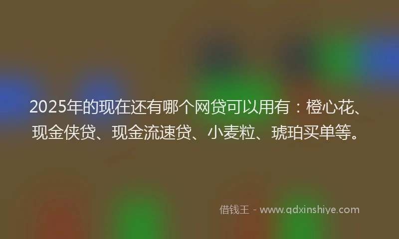 2025年的现在还有哪个网贷可以用有：橙心花、现金侠贷、现金流速贷、小麦粒、琥珀买单等。