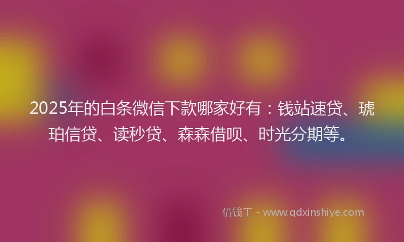 2025年的白条微信下款哪家好有：钱站速贷、琥珀信贷、读秒贷、森森借呗、时光分期等。