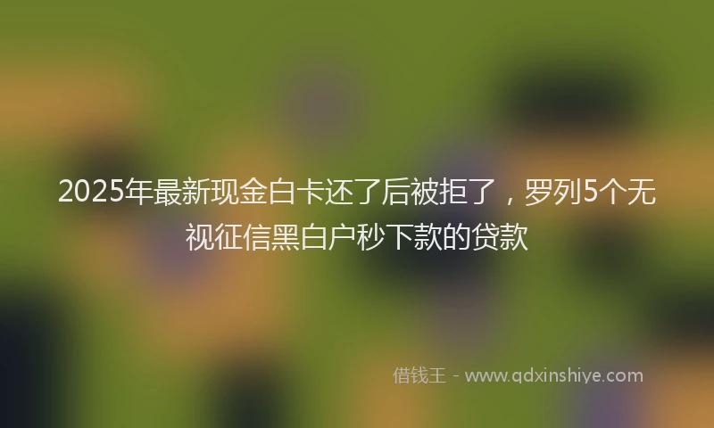 2025年最新现金白卡还了后被拒了，罗列5个无视征信黑白户秒下款的贷款