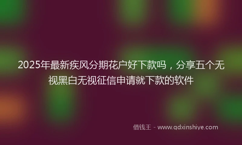 2025年最新疾风分期花户好下款吗，分享五个无视黑白无视征信申请就下款的软件