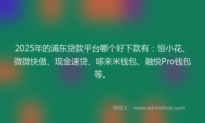 2025年的浦东贷款平台哪个好下款有：恒小花、微微快借、现金速贷、哆来米钱包、融悦Pro钱包等。