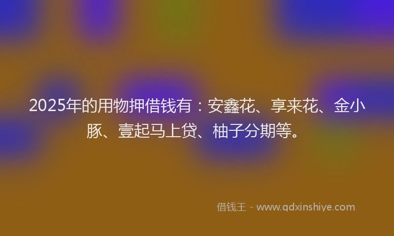 2025年的用物押借钱有：安鑫花、享来花、金小豚、壹起马上贷、柚子分期等。