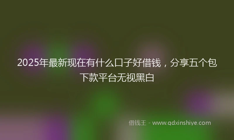 2025年最新现在有什么口子好借钱，分享五个包下款平台无视黑白
