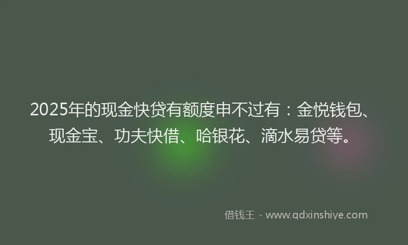 2025年的现金快贷有额度申不过有：金悦钱包、现金宝、功夫快借、哈银花、滴水易贷等。