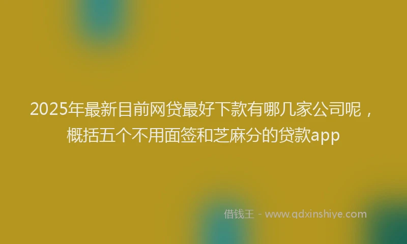 2025年最新目前网贷最好下款有哪几家公司呢，概括五个不用面签和芝麻分的贷款app