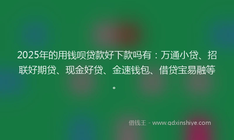 2025年的用钱呗贷款好下款吗有：万通小贷、招联好期贷、现金好贷、金速钱包、借贷宝易融等。