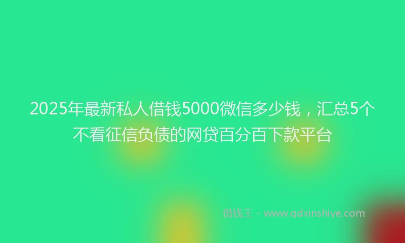 2025年最新私人借钱5000微信多少钱，汇总5个不看征信负债的网贷百分百下款平台