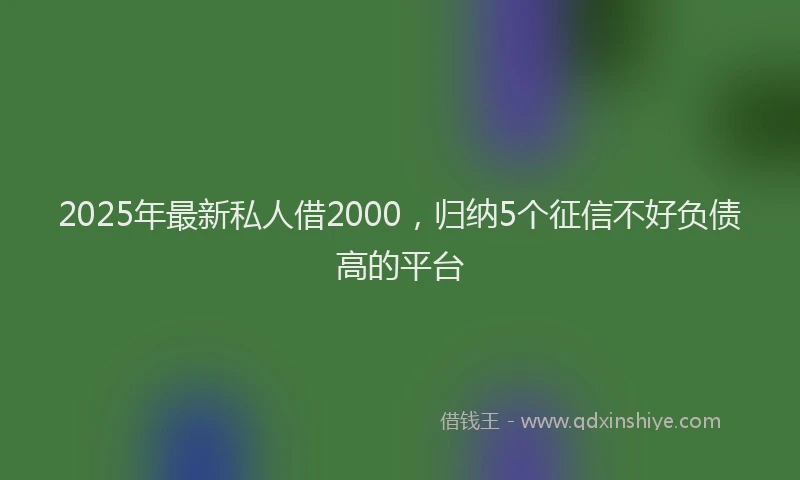 2025年最新私人借2000，归纳5个征信不好负债高的平台